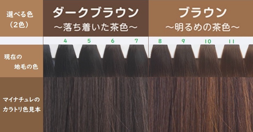 現在の髪色を基準にマイナチュレカラートリートメントの色を選ぶ方法７選 色味 できないこともお伝えします マイナチュレ 自信を取り戻したいあなたへ